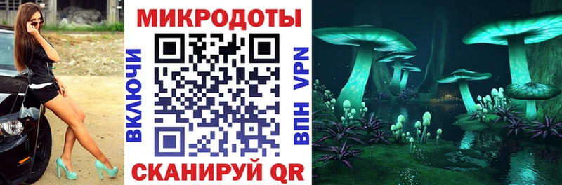 где продают   Сольцы  Галлюциногенные грибы мухоморы 
